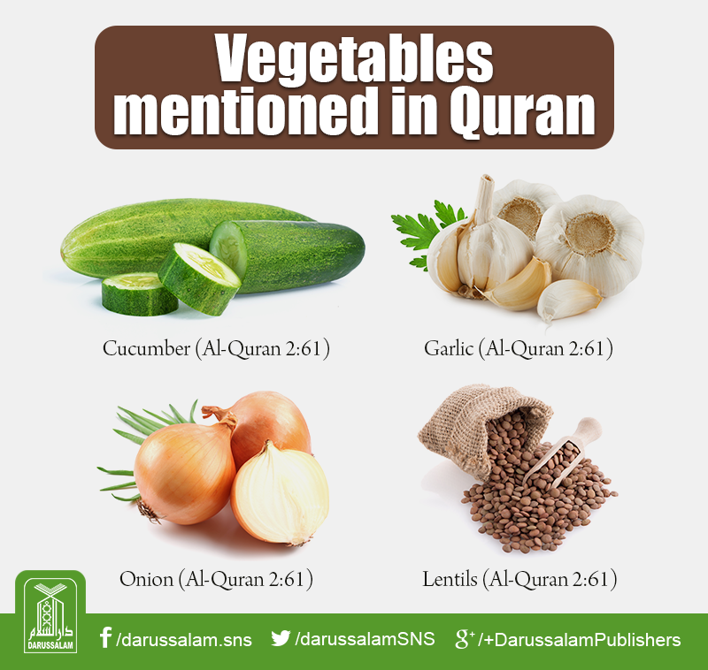 be with god: Vegetables mentioned in Quran Islam Hadith, Islam Muslim