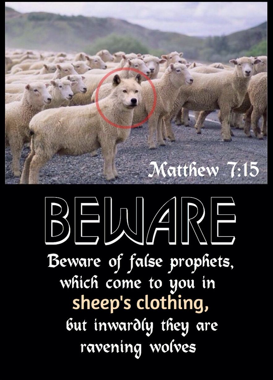 Matthew 7:15 Great verse, but the pic tho... "I'm a freak of nature hangin' out with these sheep got a pr… | Inspirational scripture, Faith in god, Book of matthew