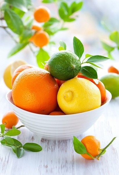 Lemon lime orange tree