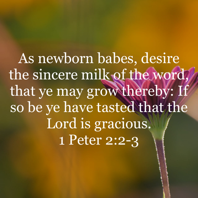 1st Peter 2 Words Of Hope Struggle Is Real Daily Bible King James 1st-peter-2-words-of-hope-struggle-is-real-daily-bible-king-james
