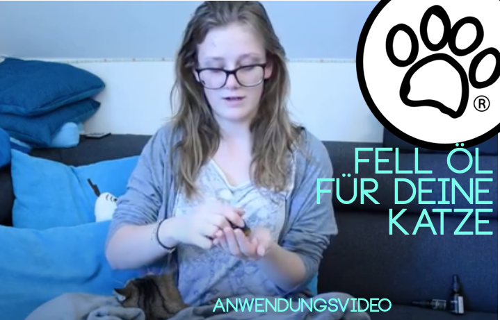 Wir zeigen Euch wie Du das Haut- und Fellpflege Öl von Andrea and the Dog bei deiner Katze aufträgst. Streicheln, Pflegen, Schnurren - haben alle was davon. Die Inhaltsstoffe in bester Bio-Qualität und alles weitere kannst du auf andreaandthedog.com nachlesen. #katzenliebe #fellpflege #hautpflege #katzenpflege #naturproduktefürkatzen #tutorial #anwendungsvideo Videos, Andrea, Cats, Skincare Routine, Gatos, Cat, Kitty, Kitty Cats
