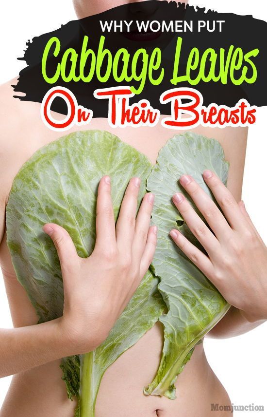 The Reason Why Women Put Cabbage Leaves On Their B The Reason Why Women Put Cabbage Leaves On Their B