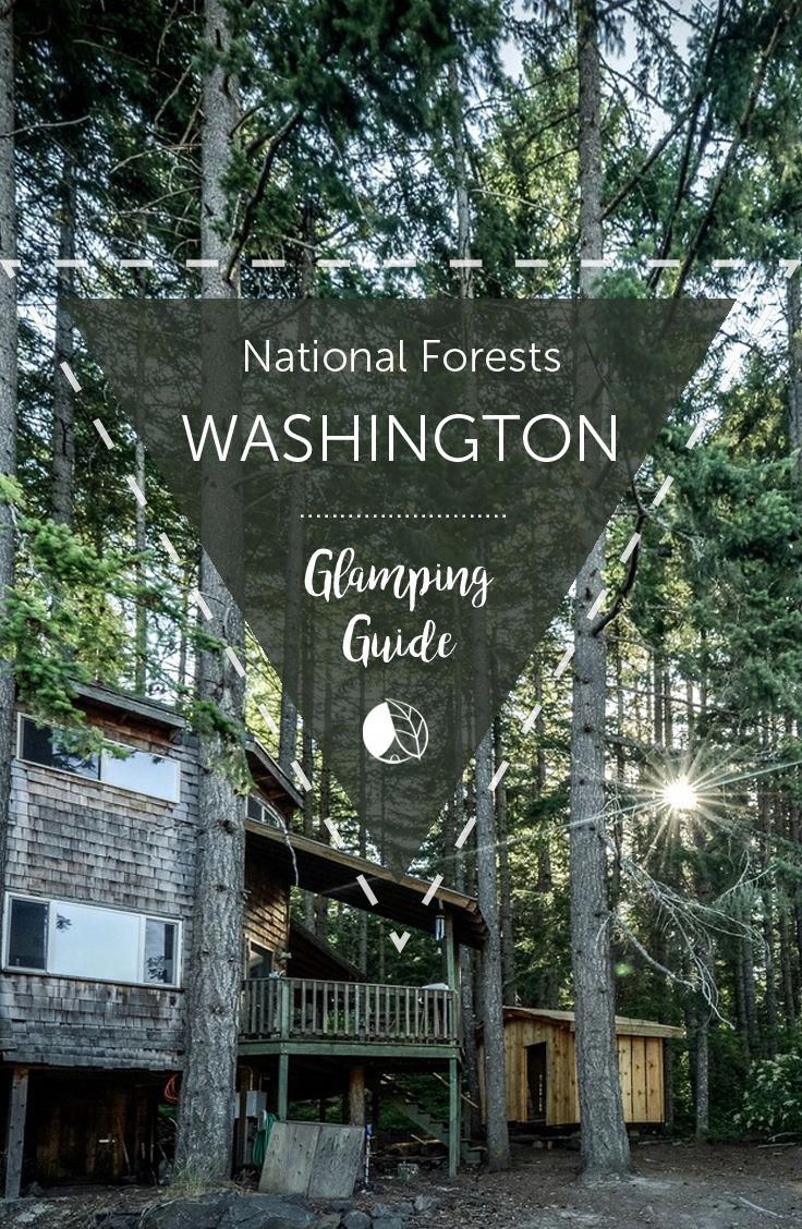 2018 Forest River Wolf Pup 15sw For Sale Winter Garden Fl In 2020 Winter Garden Wolf Pup Forest River