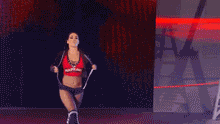 Fearless Nikki