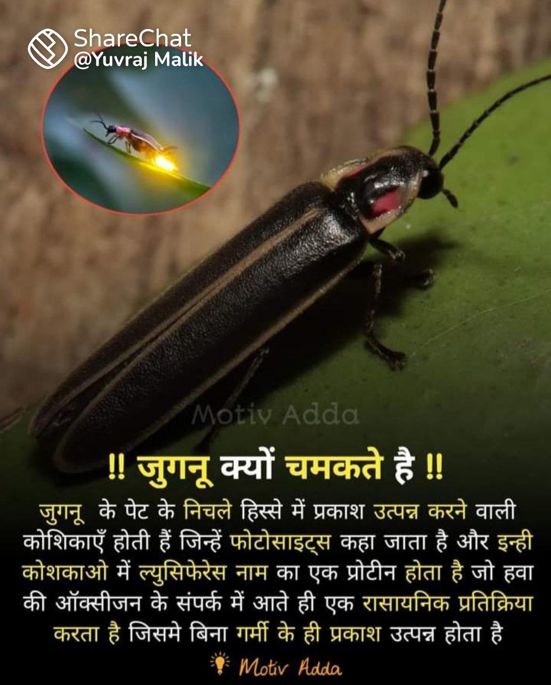 Pin By Sudhir Nripat On General Knowledge Amazing Science Facts password-meaning-in-hindi-meaning-password-ka