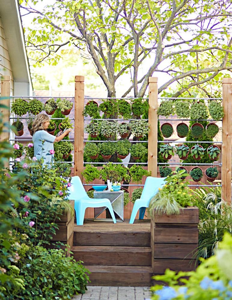 How To Build A Wall Of Potted Herbs Herb Pots Growing Herbs