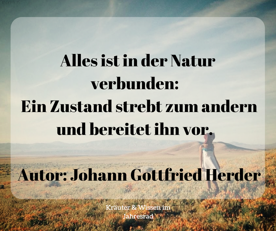 Motivationssprüche Für Jeden Tag Motivationssprüche Für Jeden Tag