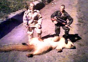 Gi Joe Dead Squirrel Dead Squirrel Gi Joe Squirrel