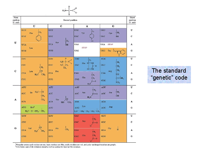 the standard genetic code coding bar chart science standard genetic code chart