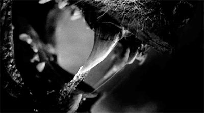 bringing the night to you ○ Ëlith 75df4eb4c82bc7701ff07dbc53dd25f3