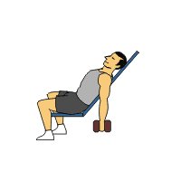 over 20 dumbbell exercises complete with animated diagrams fitness