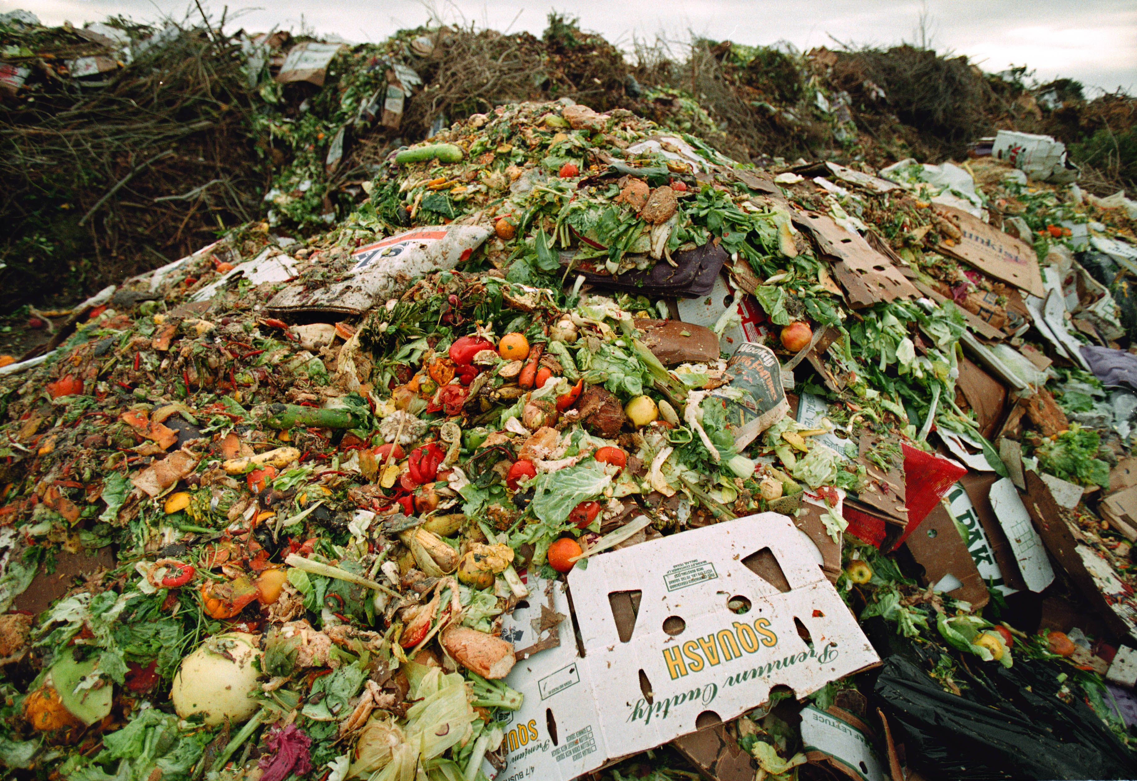 Compost Pile