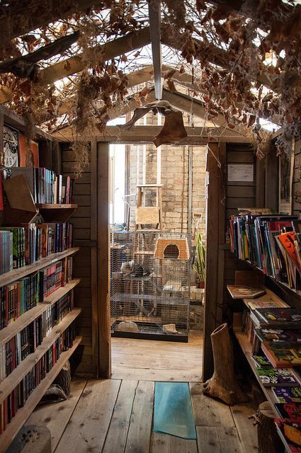 wild rumpus bookstore minneapolis wild rumpus bookstore minneapolis