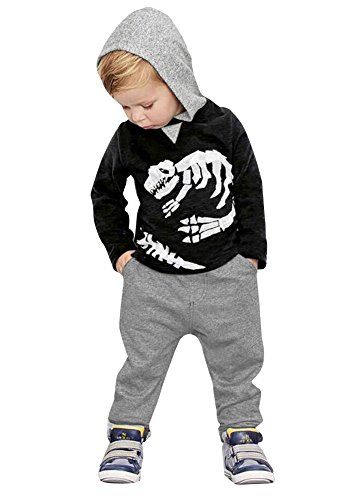 Toddler Infant Baby Boy Dinosaur Hoodie Cute Baby Boy Sweatsuit Lil Baby Top Dinosaur Pants 2PCS Outfits Set