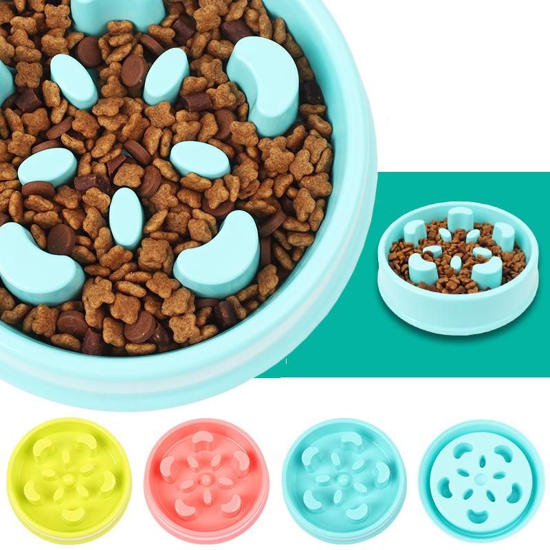 Anti Choke Slow Feed Dog Bowl 4 Styles Available In 2020 Dog