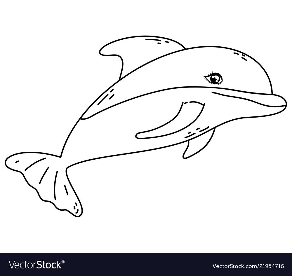 Outline dolphin tropical wild sea animal vector image on VectorStock