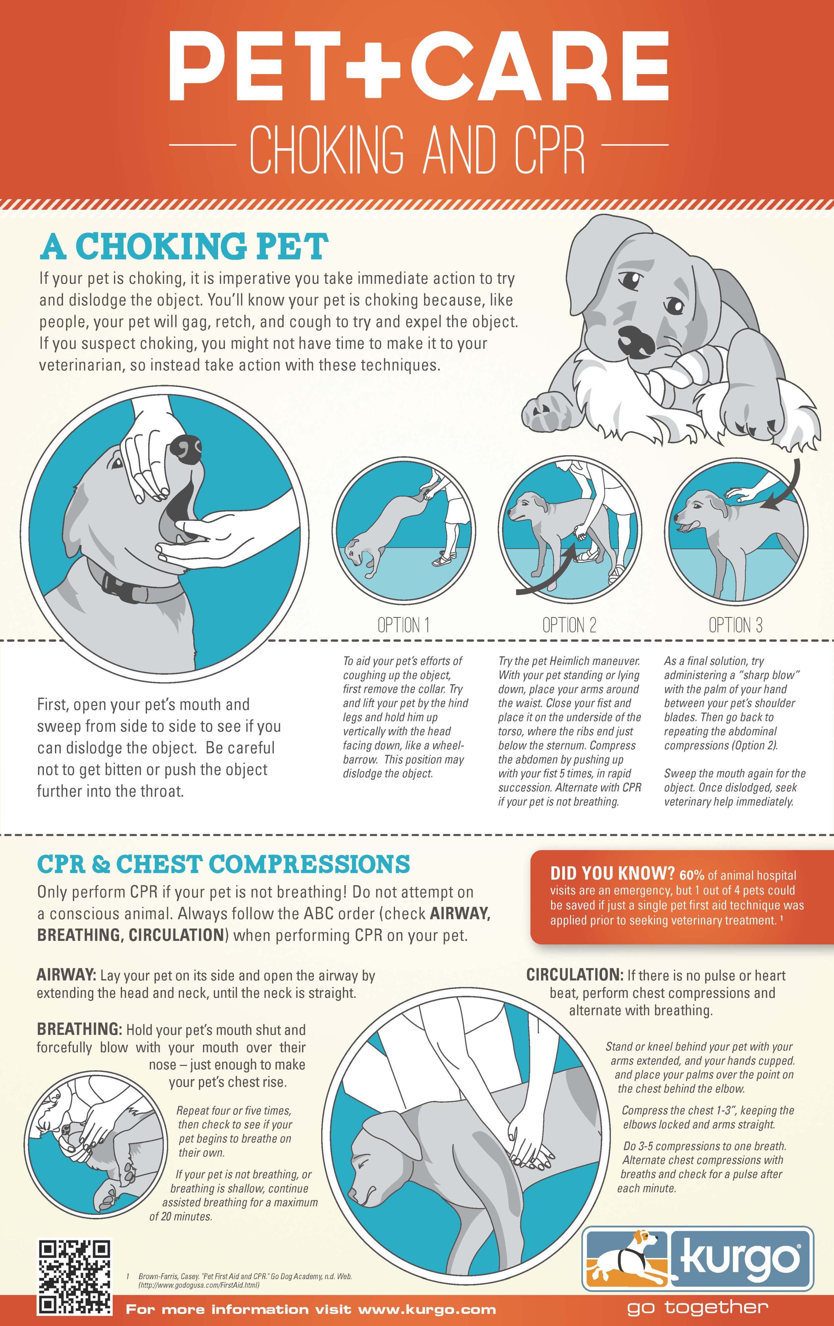 Pet Choking And Cpr Pet Care Tips Dog Care Puppy Care Lou Dog Wag pet-choking-and-cpr-pet-care-tips-dog-care-puppy-care-lou-dog-wag