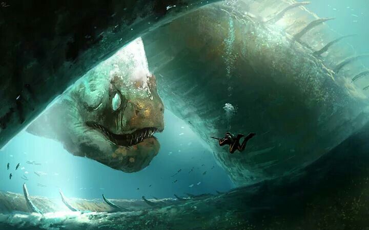 Fish Head Weird Sea Creatures Sea Life Animals Sea Creatures