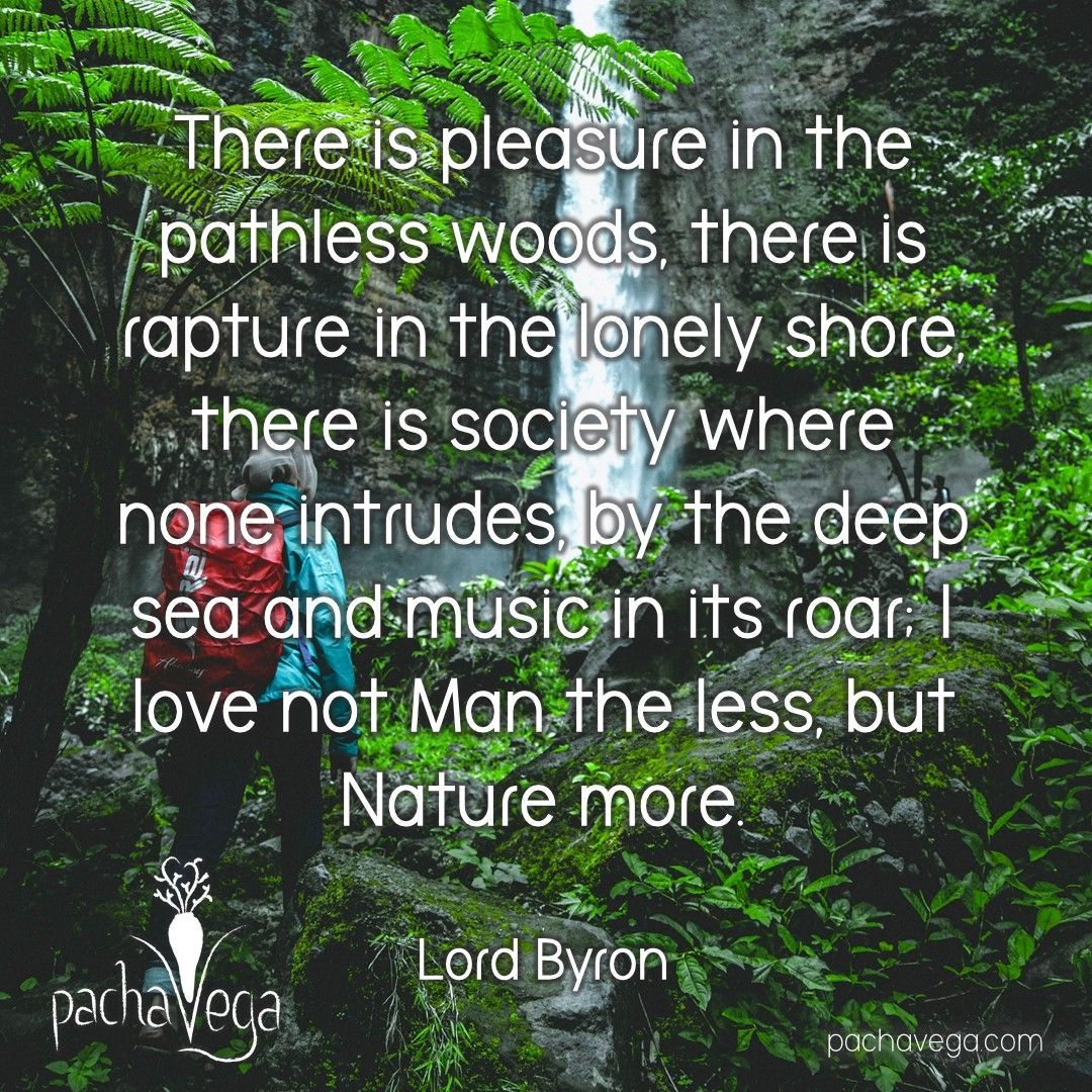 there is a pleasure in the pathless woods there is a pleasure in the pathless woods