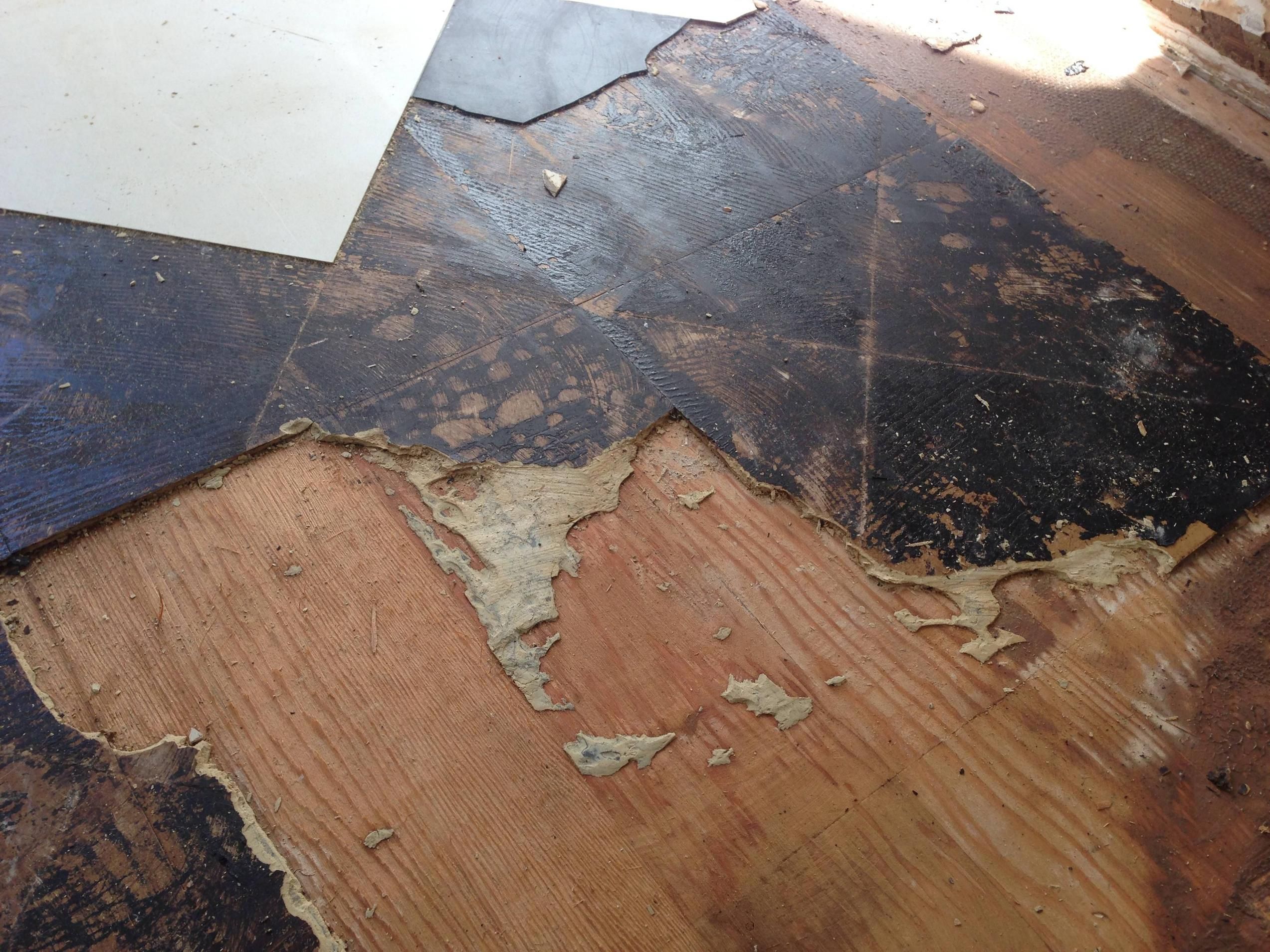 Concrete Visions Can Remove Existing Flooring And Replace It With Polished Concrete For A More Durable Low Maintenance Polished Concrete Polish Floor Flooring