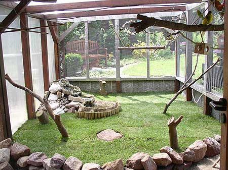 Rollrasen In Der Voliere Aviariesideas Bird Aviary Aviary Pet Birds Rollrasen In Der Voliere Aviariesideas Bird Aviary Aviary Pet Birds