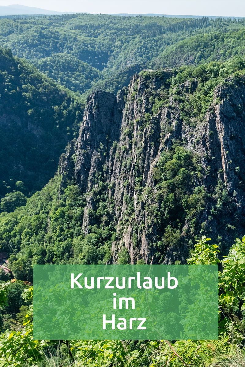 Harz urlaub single mit kind