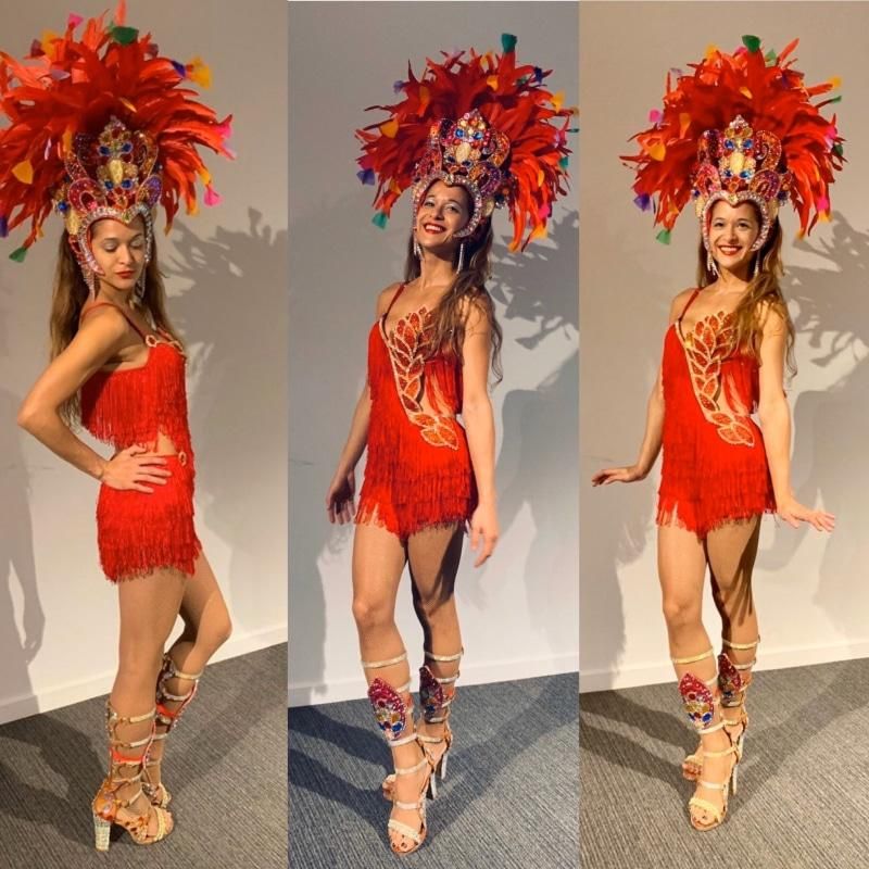 Splendor Passista Show Dress Freeshipping Dance Outfits Samba Costume Colorful Dresses