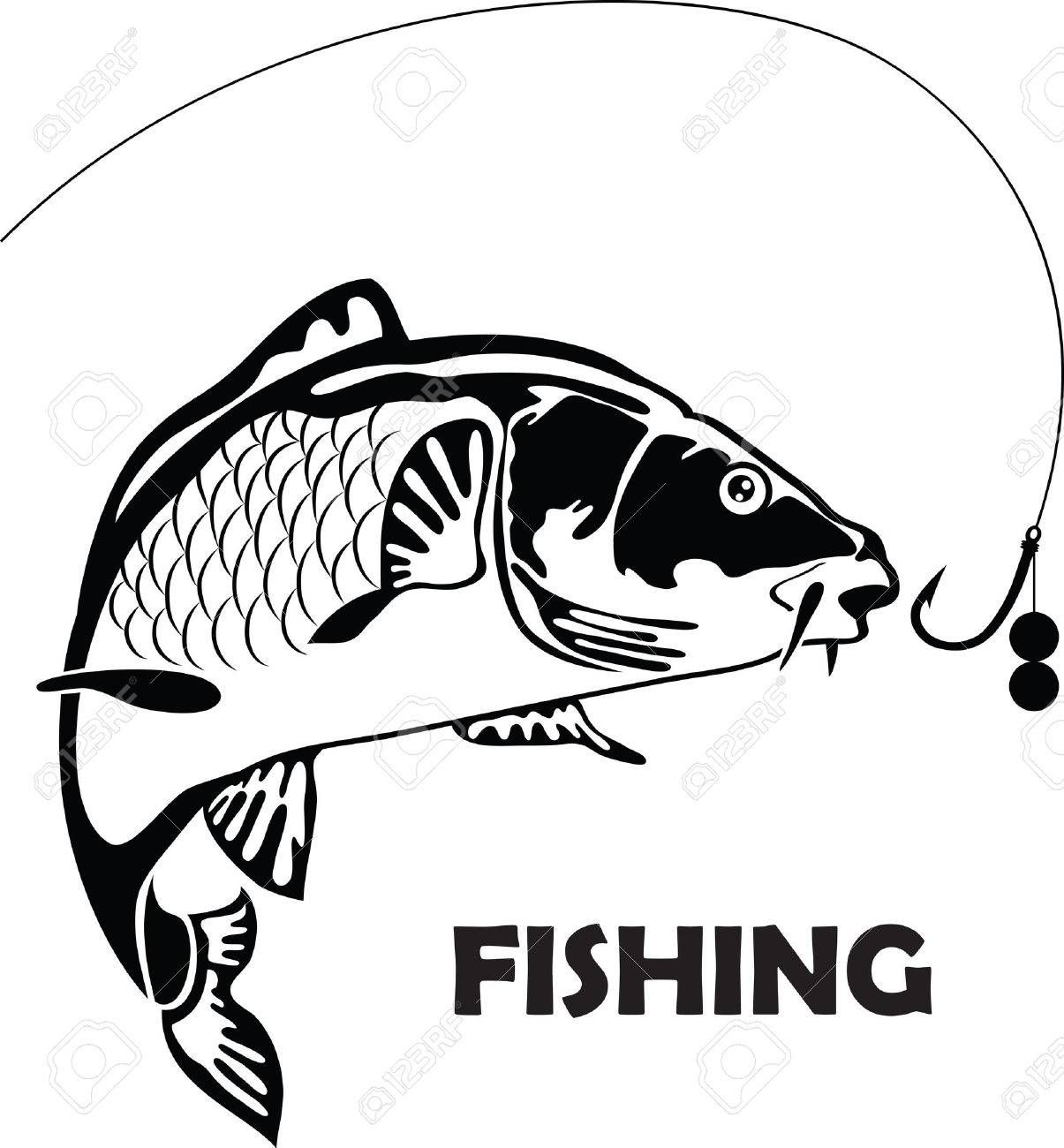 carp fish, vector illustration , #affiliate, #fish, #carp carp fish, vector illustration , #affiliate, #fish, #carp