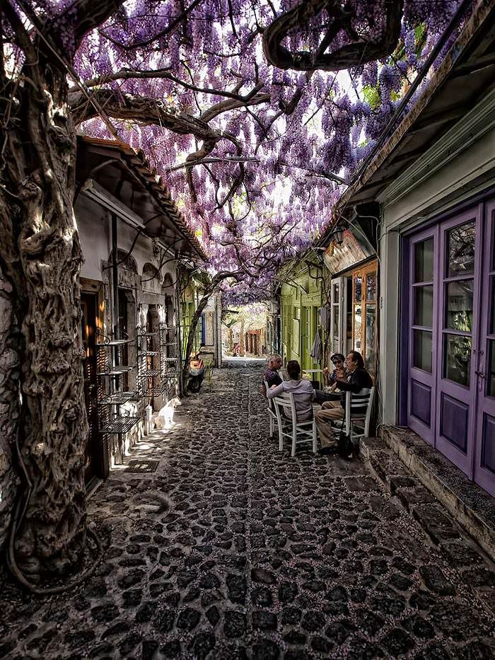 World’s Most Magical Streets Shaded