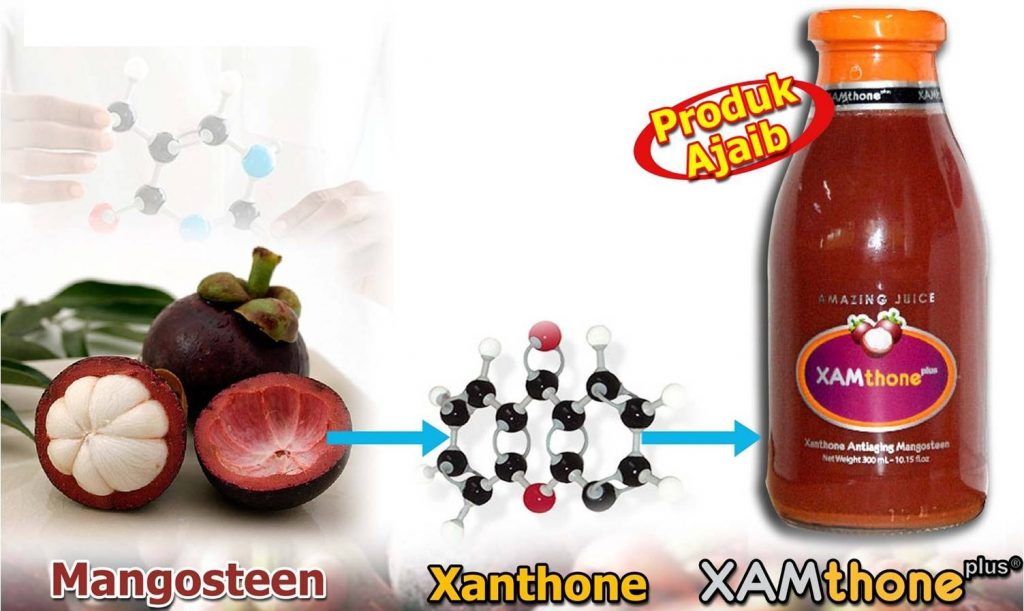 Xamthone Plus Minuman Sehat Buah Diabetes