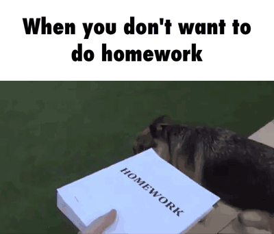 I never do my homework yahoo answers