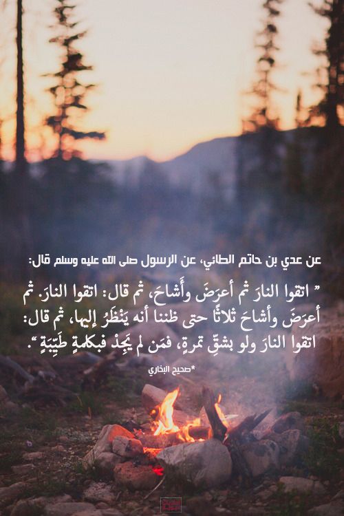 تألق الشعر عصر المتنبي من ابن الرومي حتى سقوط بغداد Free Download Borrow And Streaming Internet Archive Internet Archive Texts Writing