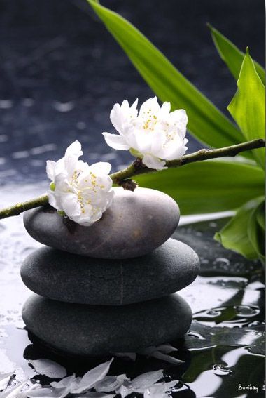 Zen Zen Meditation Buddha Zen Zen Buddhism