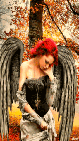 Idea by Janie mendez4400 on Beautiful pictures with a