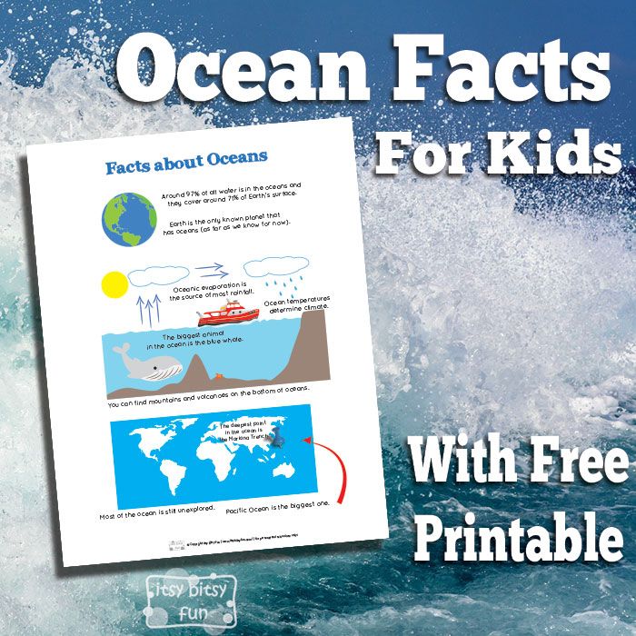 Ocean Facts For Kids Facts For Kids Fun Facts For Kids Ocean Kids Ocean Facts For Kids Facts For Kids Fun Facts For Kids Ocean Kids
