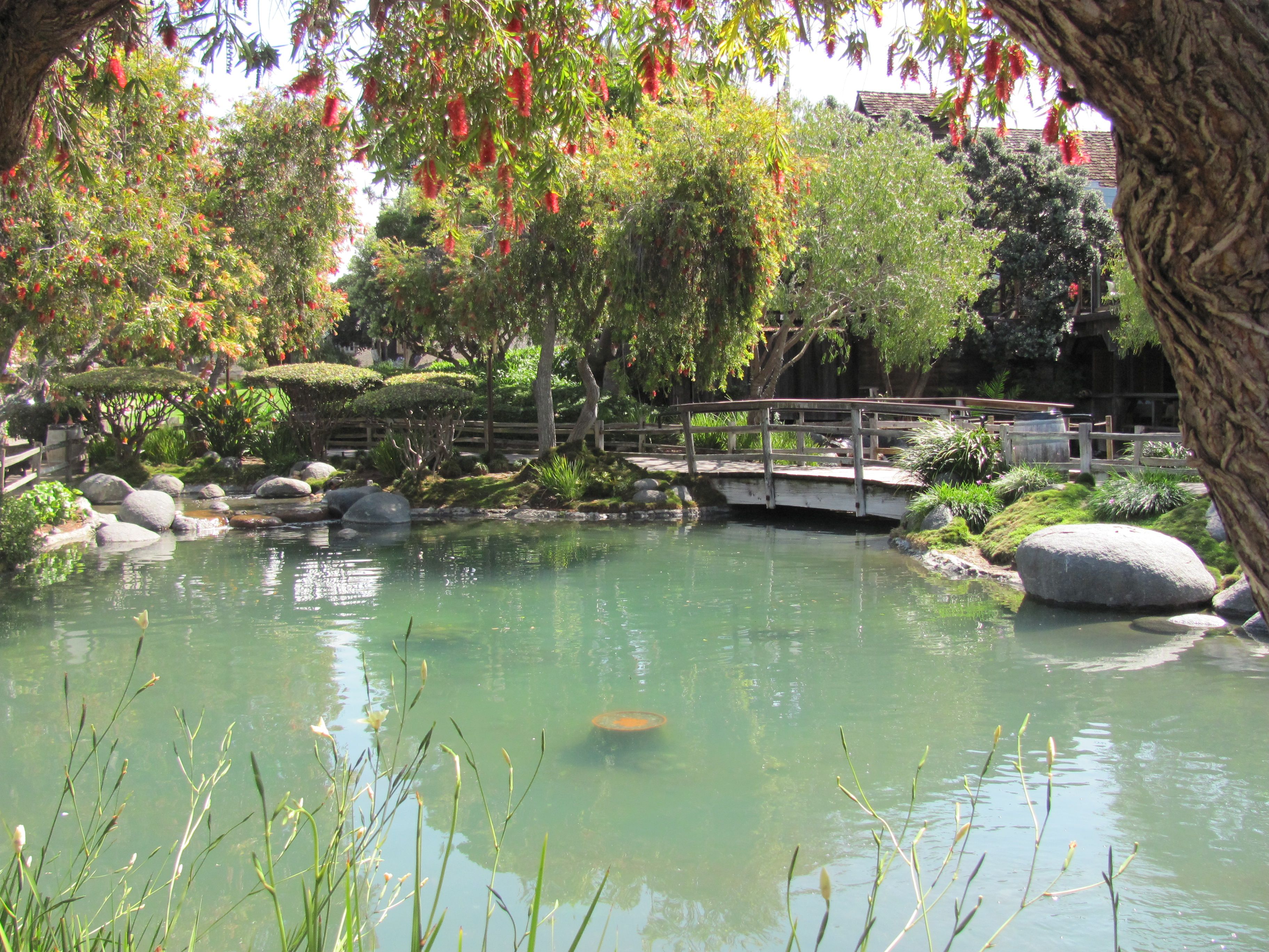 san diego pond inspiration home and garden pond moroccan
