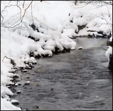 Cat Gif Amazing Ninja Cat In The Snow Jumping Over River Like A Snow Leopard Video Cat Gif Funny Animal Photos Funny Cat Videos