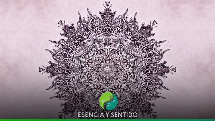 Una sanación chamánica para empoderar a la mujer - TN.com.ar Endocrine System, Women, Spirituality