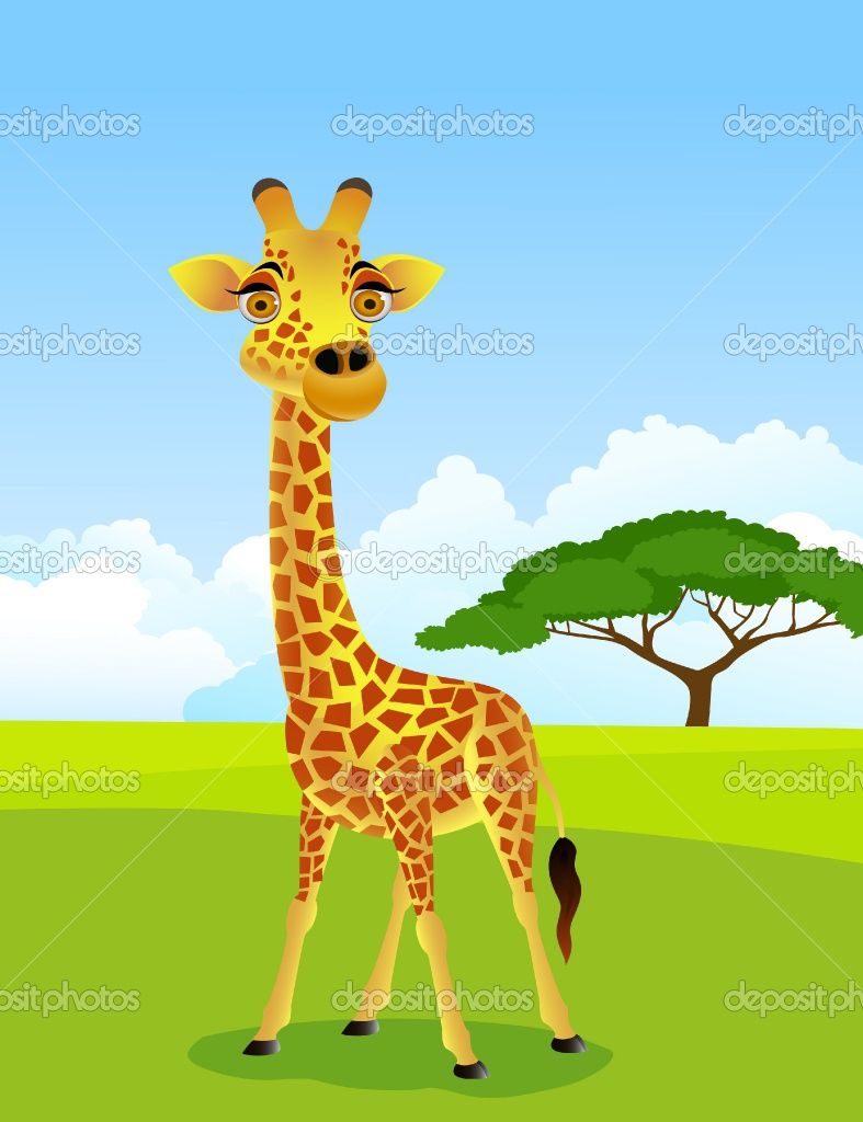 Giraffe Zeichentrick Giraffe Zeichentrick