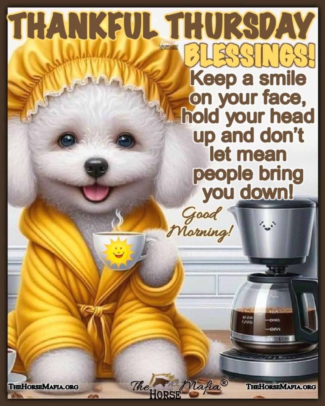 Pin By Melissa Molloy On The Horse Mafia In 2024 Good Morning Happy pin-by-melissa-molloy-on-the-horse-mafia-in-2024-good-morning-happy