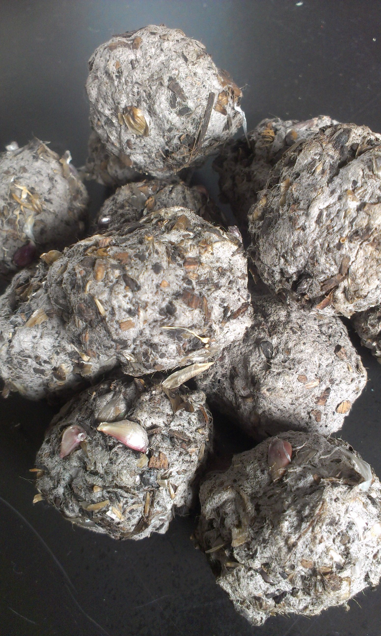 seed bombs made with newspaper pulp seed bombs making paper flower balls