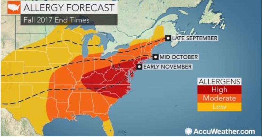 Pollen season 2017 information