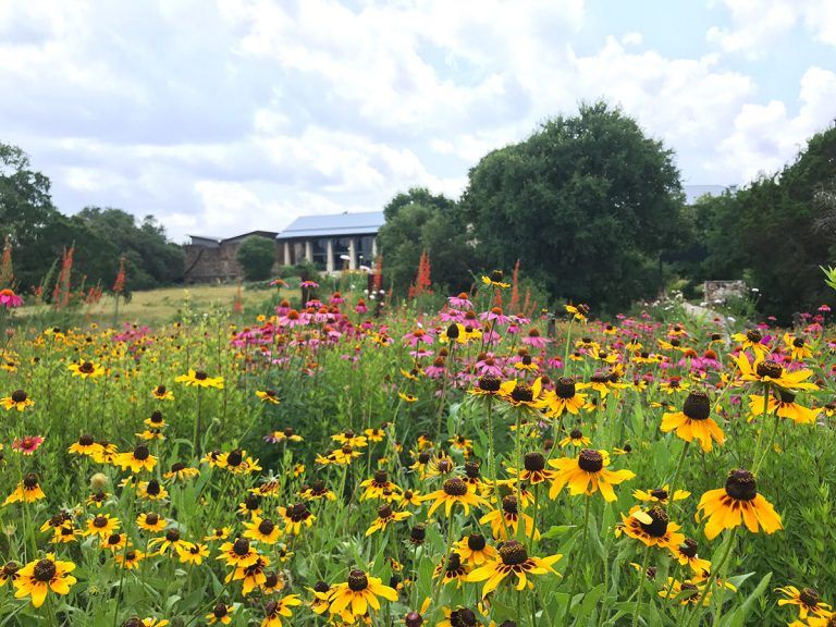 Gardens & Spaces - Lady Bird Johnson Wildflower Center | Lady bird