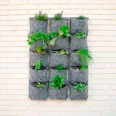 Cómo hacer un huerto urbano en casa | Guía descargable