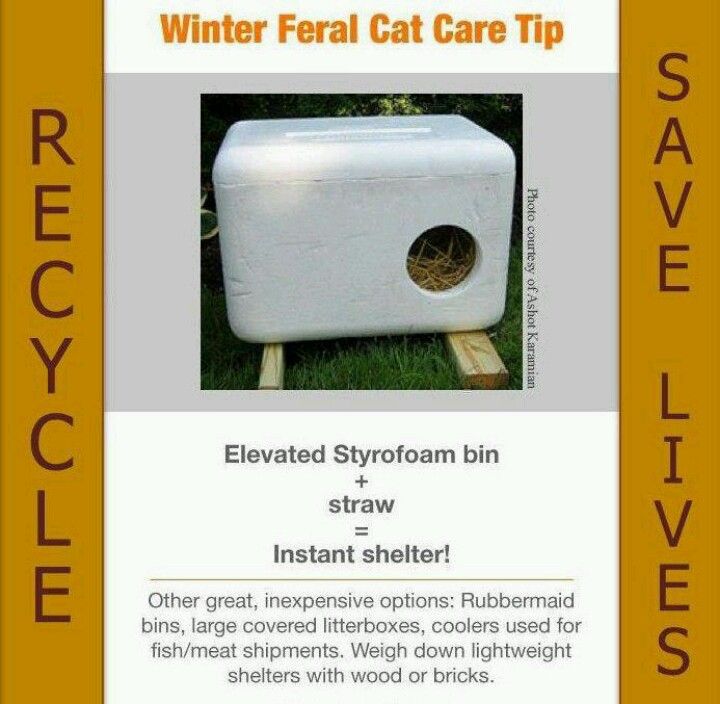 Pin By Good Mews Animal Foundation On Cat Crafts Outdoor Instant Shelter From A Styrofoam Cooler If You Have Feral Cats In Your Yard