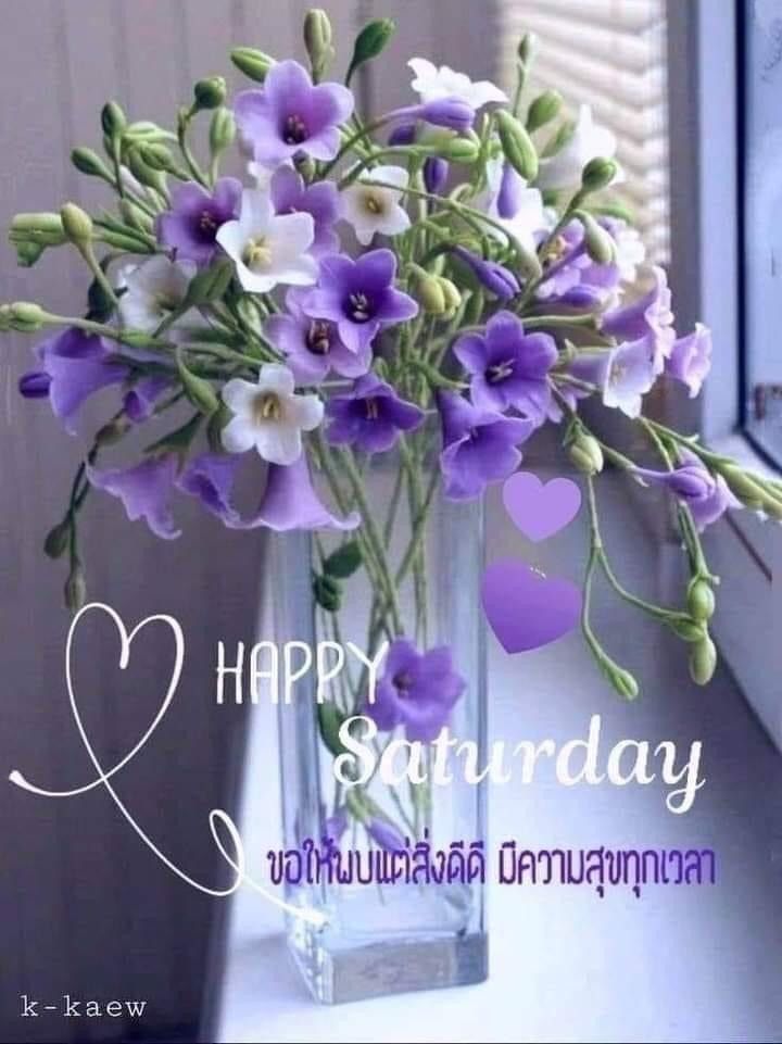 Pin By PT On 06 Happy Saturday In Thai Good Morning Flowers Flower pin-by-pt-on-06-happy-saturday-in-thai-good-morning-flowers-flower