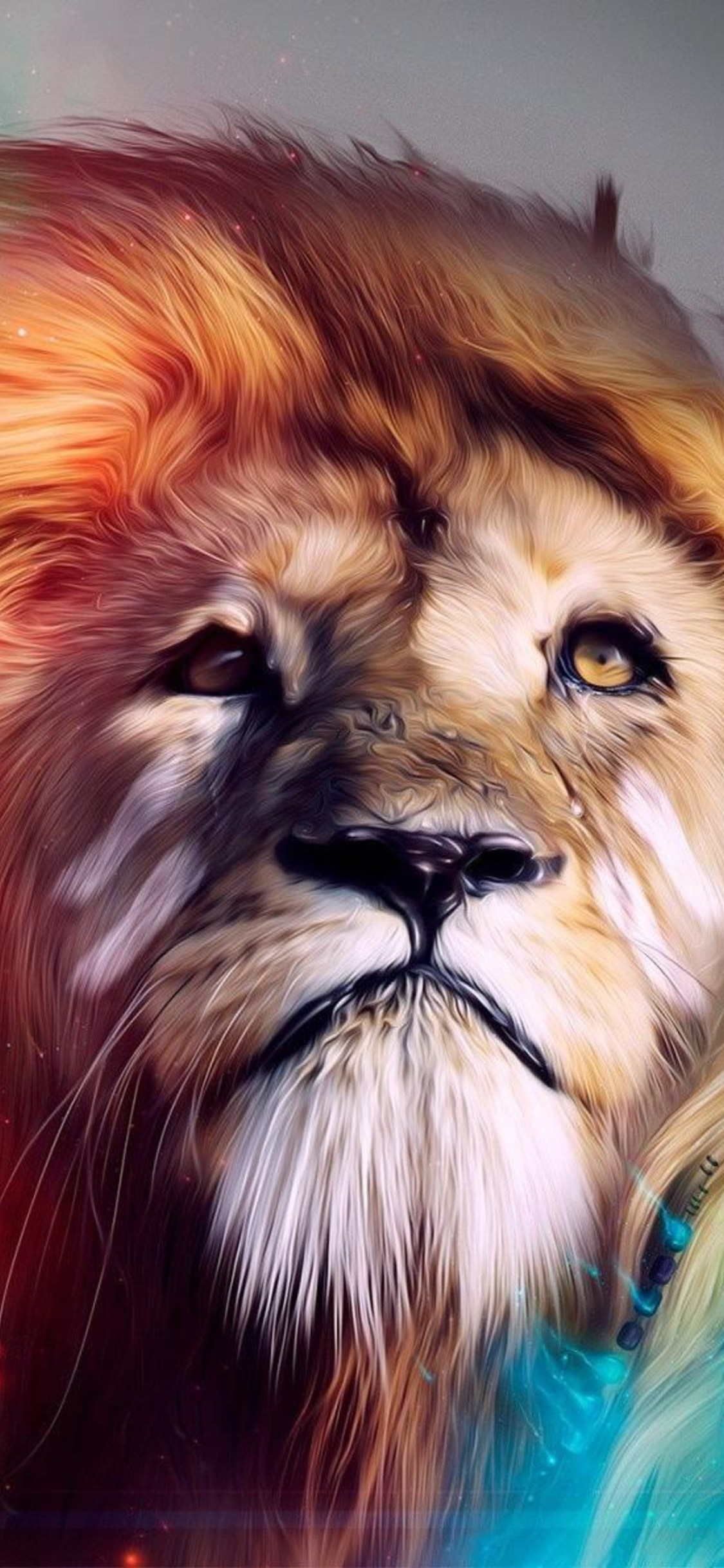 Beautiful Wallpapers For Apple Iphone X Leon De Judah