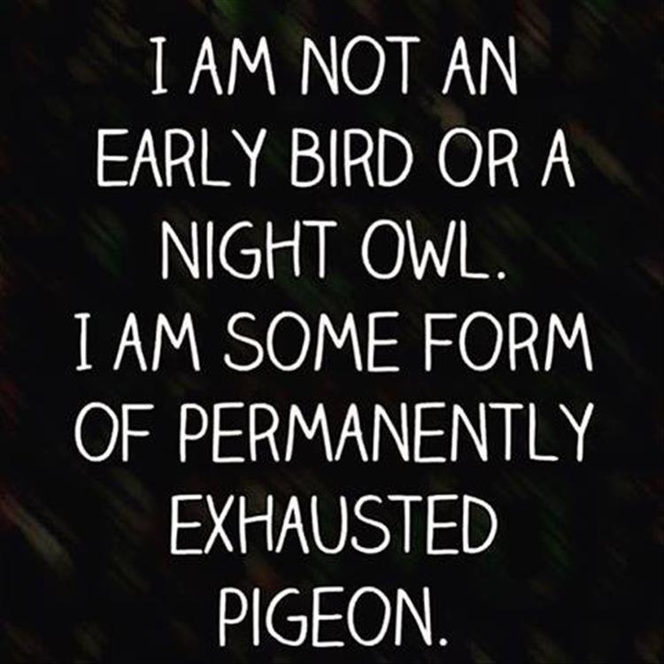 Lyric shot at the night lyrics : Funny Pictures Of The Day – 36 Pics - Daily Lol Pics | memes and ...