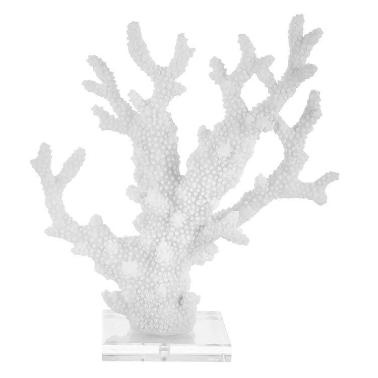 13 Coral Sculpture White Coral Sculpture