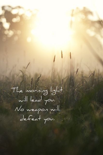 morning light by palaye royale 3 music soothes the savage beast